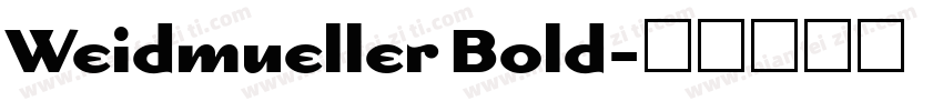 Weidmueller Bold字体转换